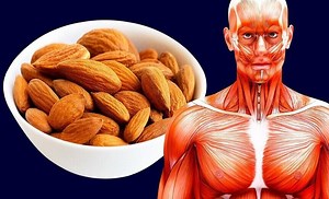 Why almonds are so beneficial for bodybuilders? • Bodybuilding Wizard