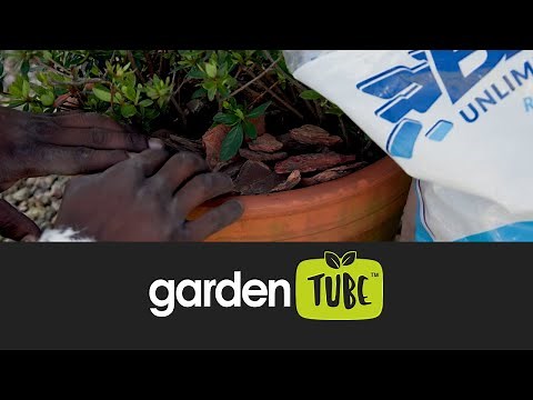 Bark Mulch 101: The Best Mulch Size for Your Garden