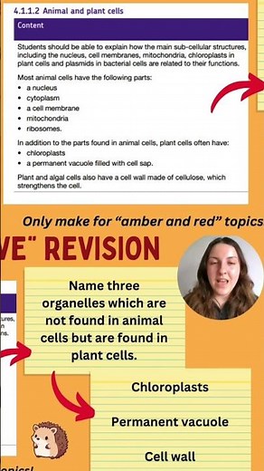 Use the Specification Like THIS to Revise #gcsescience #revisionhelp #freesciencelessons #exams