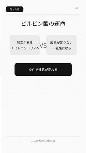(代謝2) 解糖系と乳酸発酵