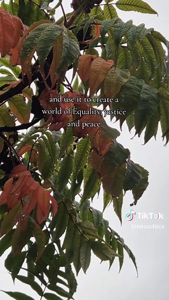 Cherishing Freedom for All