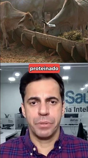 Melhor sal para a seca: qual escolher?