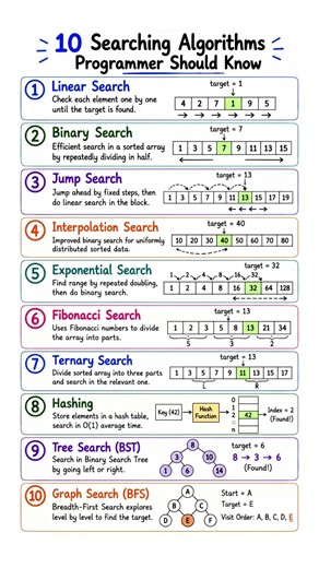 10 Searching Algorithms Every Programmer Should Know 🔍
