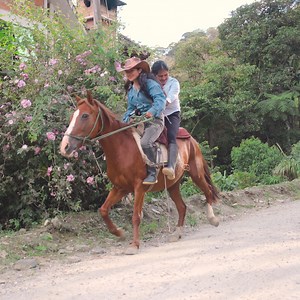 213K views · 1.7K reactions | La competencia de una Moto vs Caballo, mira cuál fue el ganador. | Nathaly | Facebook