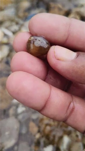 Diamond Hunter: Uncovering Agate formed gemstone treasure hunt for bay diamond hunter