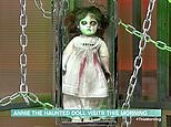 Professional paranormal investigator speaks of Annie the haunted doll
