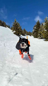 She's a true freerider – fearless, fast, unstoppable