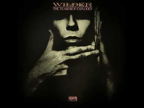 The TEARDROP EXPLODES – Wilder – 1981 – Full album – Vinyl