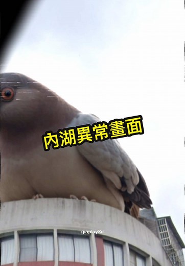 地球異常現象：在谷歌地圖上的奇怪發現