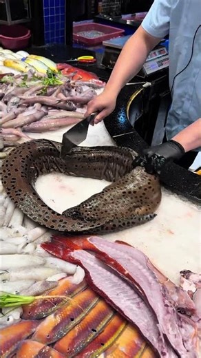 Giant Spotted Eel Cutting & Cleaning | Rare Sea Creature Fish Market | Satisfying