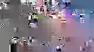 The Bamboo Forest is just one of the many beautiful views located along the road to Hana! | Pride of Maui