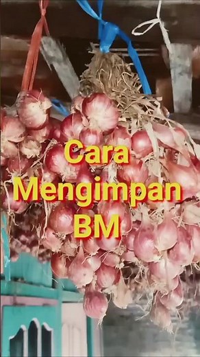 How to Store Shallots So They Last Long and Don't Rot Easily