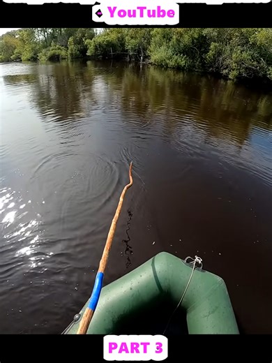 Exciting Spider Fishing: Carp and Ide Caught!