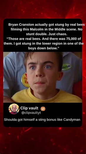 Bryan Cranston Got Stung by 75,000 REAL BEES in This Scene 🐝