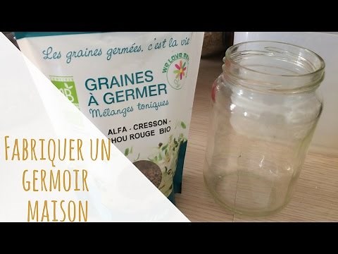 DIY : fabriquer un germoir maison pour faire ses propres graines germées