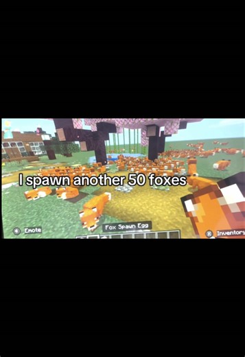 Another 50 Foxes in Minecraft!