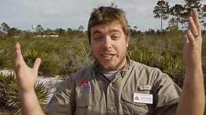 At Home in the Florida Scrub