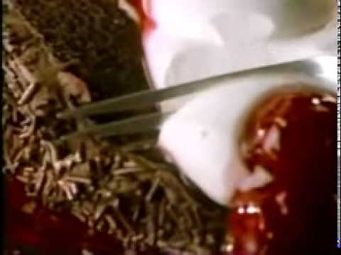 Cool Whip: Christmas treats (1992)