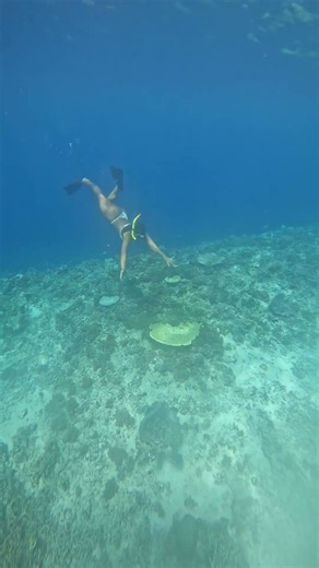 Underwater Freedom 🌊🤿 | Swimming Through the Deep Blue Ocean
