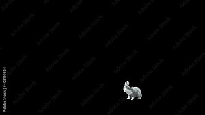 white rabbit jump into the scene from right side and looking around, sniffle and jump out to the left side of scene. 3d rendering white rabbit character isolated on solid background with alpha matte.