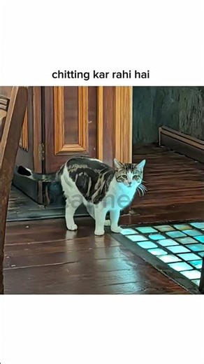 INVIGILATOR ❎ SECURITY GUARD ✅