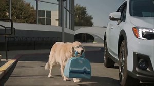 Subaru TV Spot, 'Dog Tested: Drive Away' [T1]