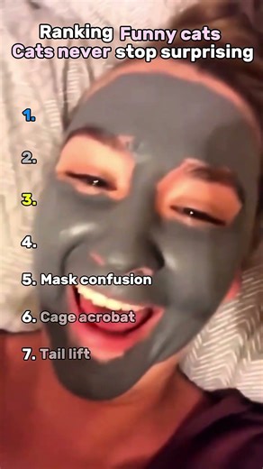 Every cat has personality