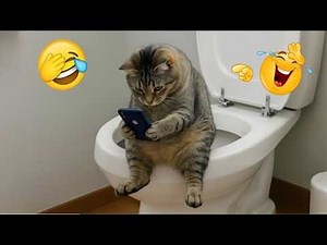 New Funniest Cats and Dogs Clips 2026 😼🐶Try Not To Laugh😜 Funny Animals