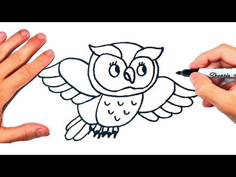 Como dibujar un Búho | Dibujando un Búho