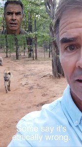 Is it all about ethics? #nature #wildlife #hyena #fun | Kim Wolhuter