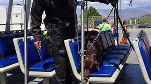 2.6K views · 25 reactions | Keeping Los Angeles Safe with the LASD Arson and Explosives Detail Special Enforcement Bureau Sergeant Acevedo walks us through the daily activities of the Arson and Explosives Detail. One Badge. Unlimited Possibilities. | Los Angeles County Sheriff's Department | Facebook