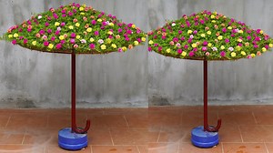 Umbrella Garden Blooms Beautifully, Watch Here: https://youtu.be/9f6dyfQ7QZo | DIY Balcony Garden