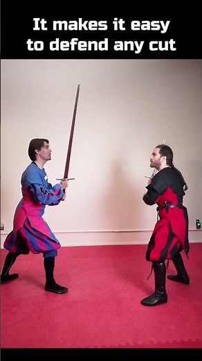 What are the Longsword guards? Vom Tag #sword #HEMA #martialarts