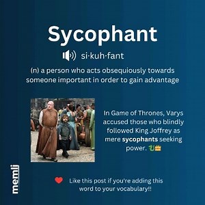 4.8K views · 4 comments | Like this post for daily vocab! #Sycophant...