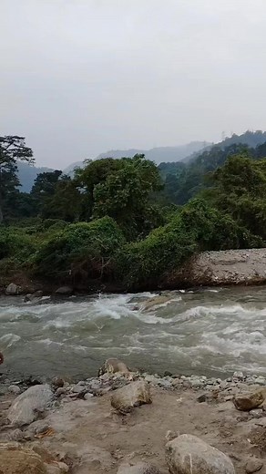 Anil Biswas on Reels