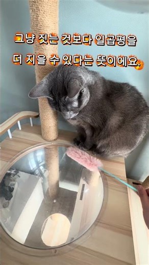 5층 건물 지을 때, 7평을 공짜로 더 얻는 방법? #근린시설 #건물매매 #건축 #건축사사무소