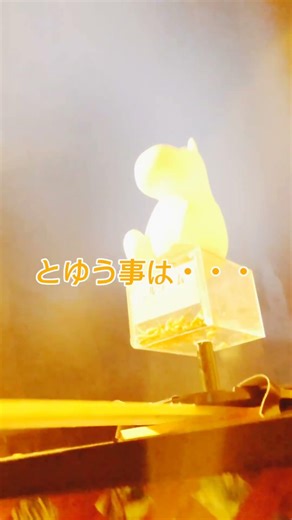 イソヒヨドリ旅立ちは🐦️毎年4月1日…不思議