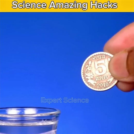 Two Amazing Science Experiments #facts #expertscience #shorts