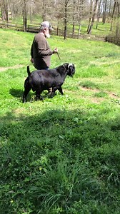 Cedar Tree Farms on Reels | Facebook