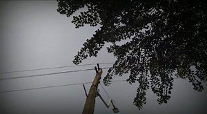 3.2K views · 62 reactions | We are starting our acting and dance classes from 1 november in collaboration with unbeatable dance & events... Batches starting from 1 november with 3 days free demo classes for everyone... It's for all age group...No age boundations. Dm for more details!❤️ @vedaactinggroup @vishalshringi #veda #acting #dance #bollywood #kota #class #drama #kotacityraj #vedaactinggroup | Kota कोटा | Facebook