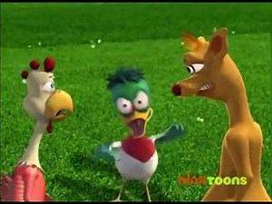 angry duck meme Original