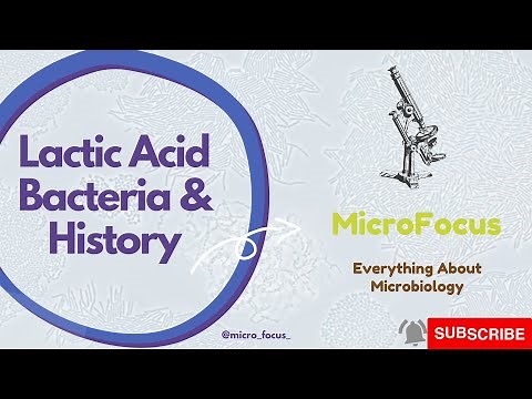Lactic Acid Bacteria