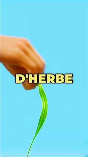 Comment faire un bruit de klaxon avec un brin d'herbe 🤯