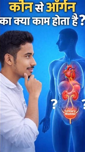 The Most Complex Machine on Earth: Your Internal Organs| Human Organ Explained: Anatomy & Physiology