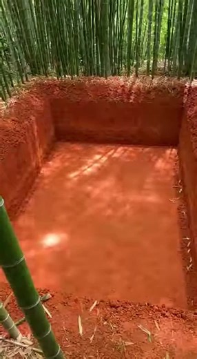 They built an incredible underground house in a bamboo forest. The ultimate hidden retreat, I'm jealous! 500M views in 30 days. 📈 I didn't just get lucky - I used a specific strategy that most creators ignore. Check out Bunny Honey Club AI🤫