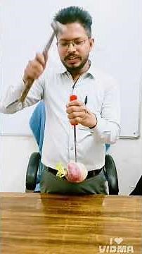 What is Inertia? | Simple Physics Behind Everyday Life#sciencefacts #education#chemistry #experiment