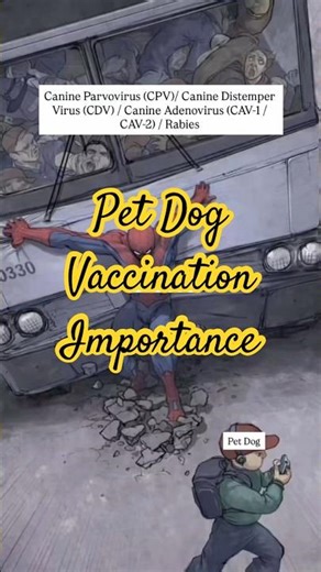Core Vaccines Every Dog Must Get. #vetlife #vetpocket #fieldvet #ruralvet #vetcare #vetclinic #pets