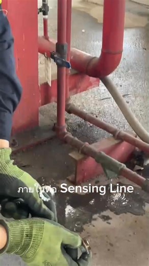 Y-Strainer , Sensing Line | เมืองไฟฟ้าวิศวกรรม