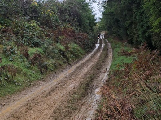 Rotor Adventures on Reels | Facebook