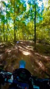 ‘24 KLX230R | Singletrack Trail Riding | Arkansas #RideWithMe #KLX230 #DirtBike #DualSport #BikeLife